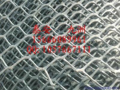 溫州高強度土工網與泰安九洲土工格室 規(guī)格齊全，應用廣泛