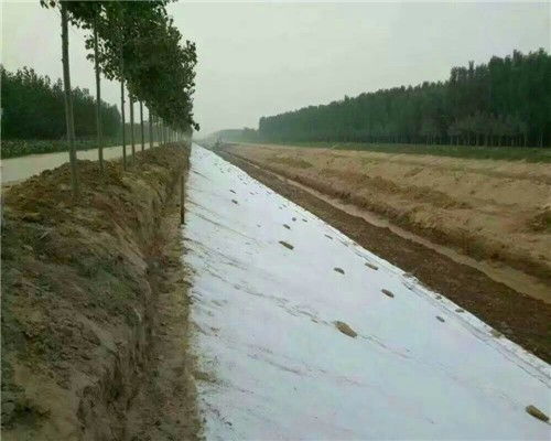 黃南300g護坡防水土工布 優質防護，當日發貨，歡迎選購與格柵搭配使用